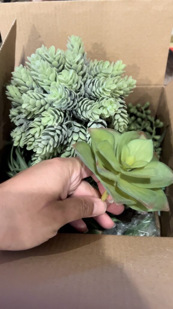 box of faux succulent plants