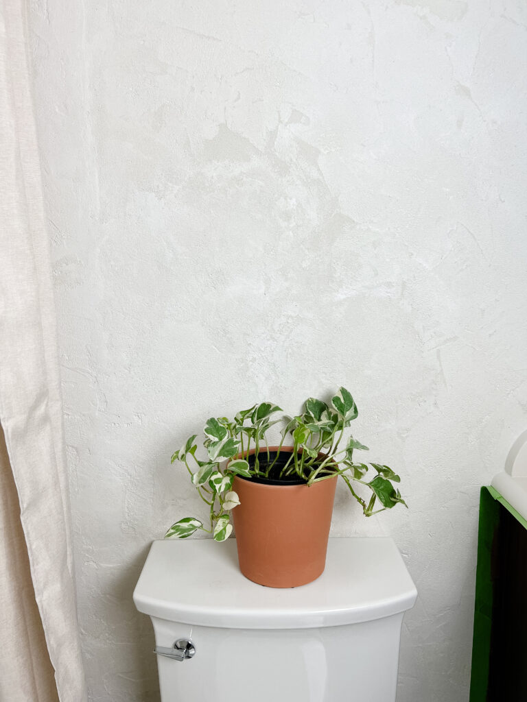 White microcement bathroom wall with small potted plant on toilet for modern accent.