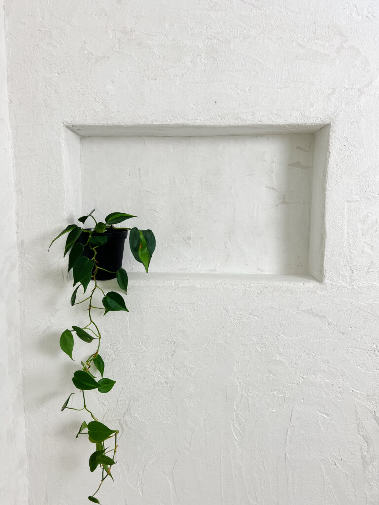 White microcement shower niche with trailing green plant for modern bathroom styling.